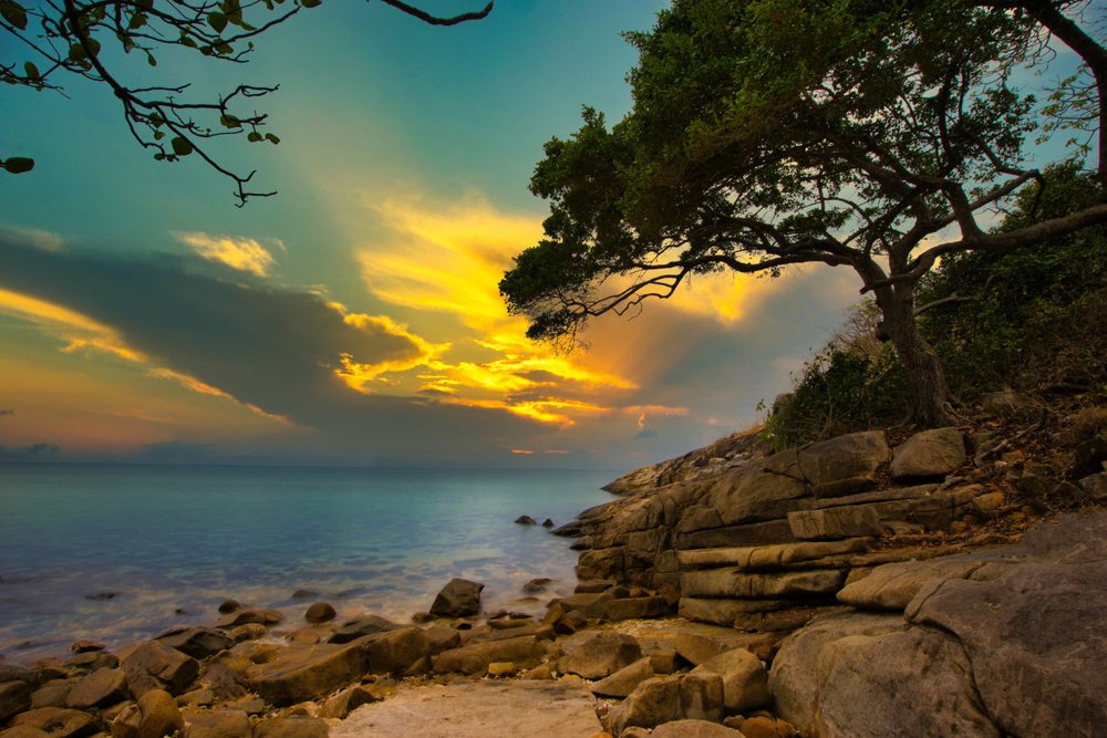 Quan Sát Rùa Biển Ở Côn Đảo