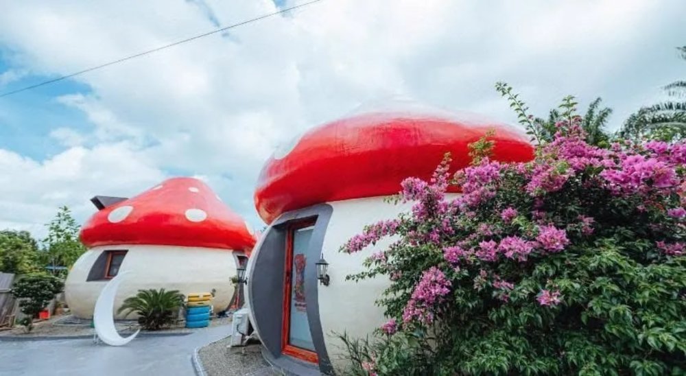 Mushrooms Inn KLOOK MY