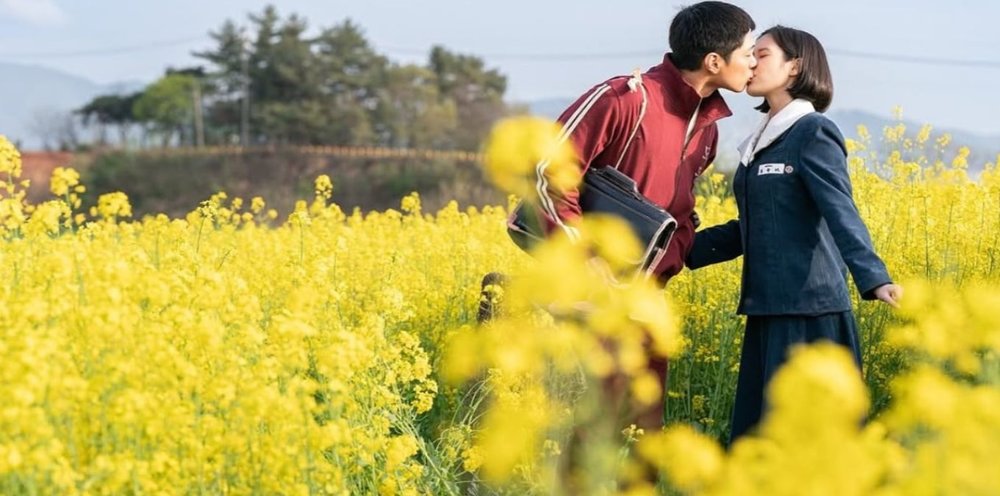 when life gives you tangerines hagwon farm klook
