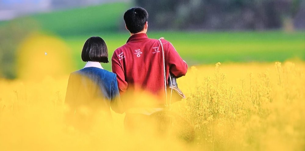 when life gives you tangerines gochang hagwon farm klook