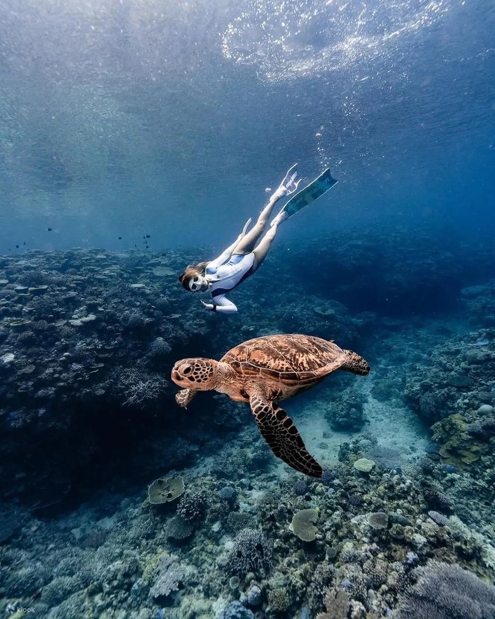 佩尼達島景點推薦|水晶灣(Crystal Bay)