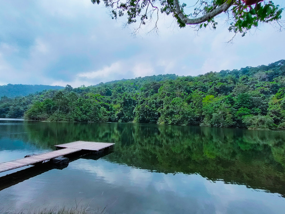 อุทยานแห่งชาติน้ำตกพลิ้ว