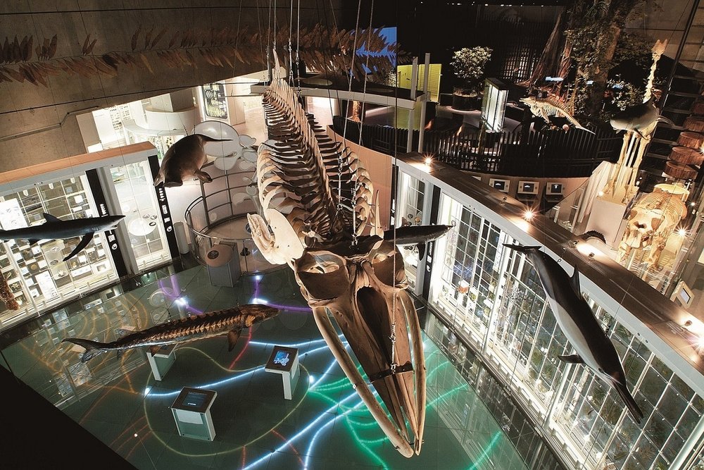 Bảo Tàng Khoa Học Và Tự Nhiên Quốc Gia (National Museum Of Nature And Science) 