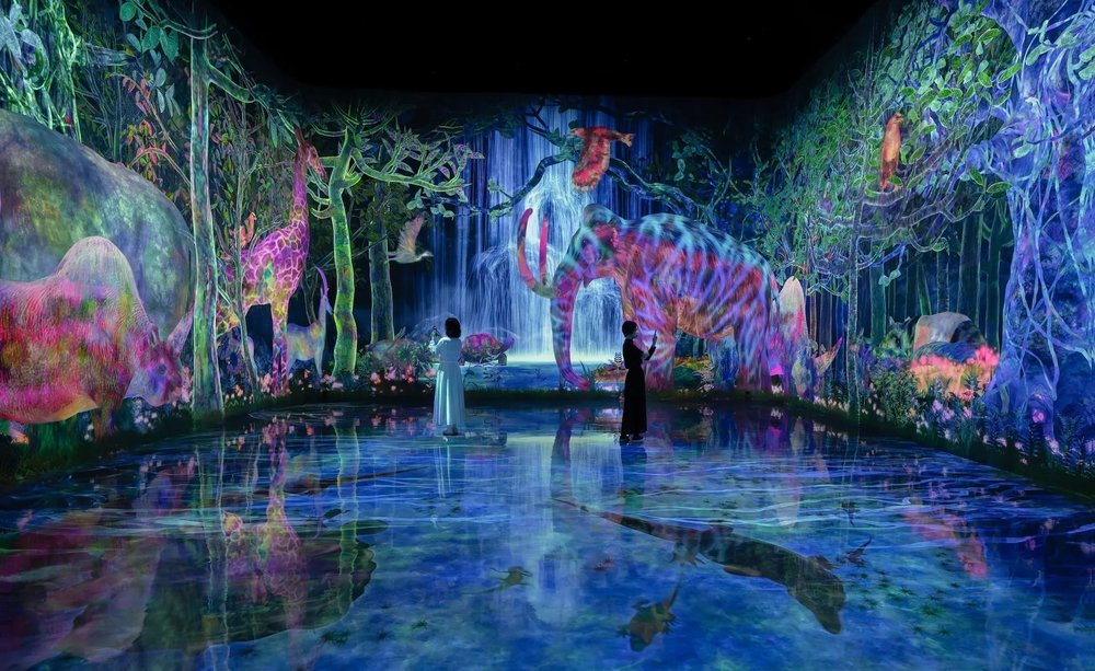 Bảo Tàng Nghệ Thuật Kỹ Thuật Số (teamLab Planets TOKYO DMM)