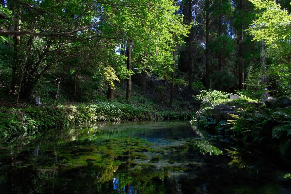 上色見熊野座神社|主祀神祇