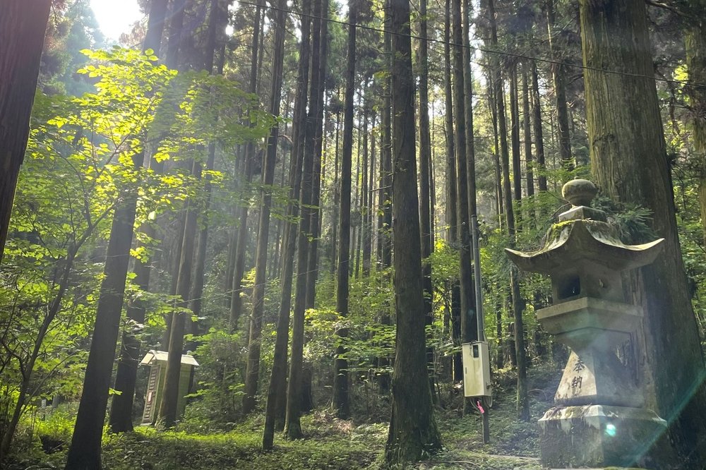 上色見熊野座神社參道與石燈籠