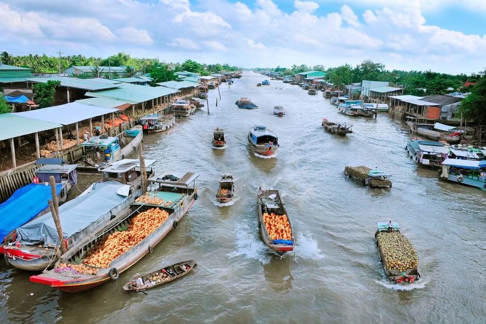 Buổi Sáng: Đi Xe Đạp Tham Quan Vườn Trái Cây, Thưởng Thức Trái Cây Tại Vườn