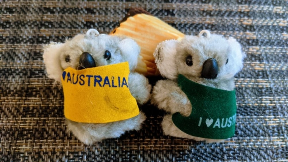 オーストラリア お土産 コアラやカンガルーのぬいぐるみ