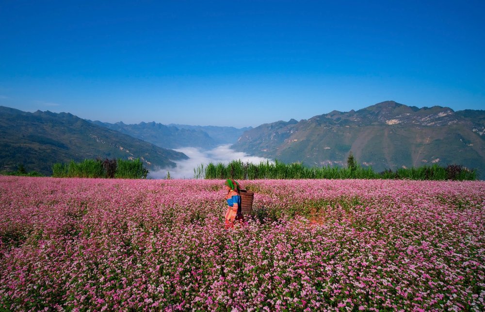 Thung Lũng Rừng Yên Minh