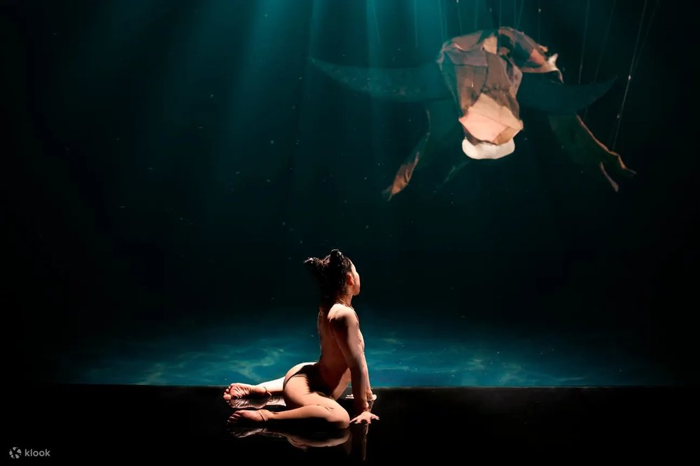 show-bieu-dien-nghe-thuat