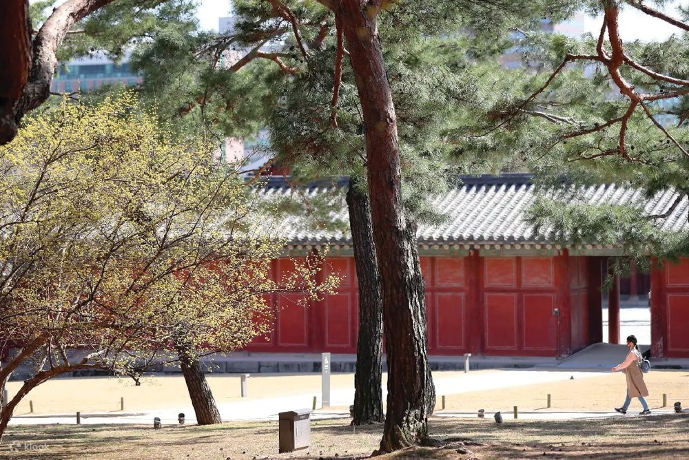 Cung Điện Changgyeonggung