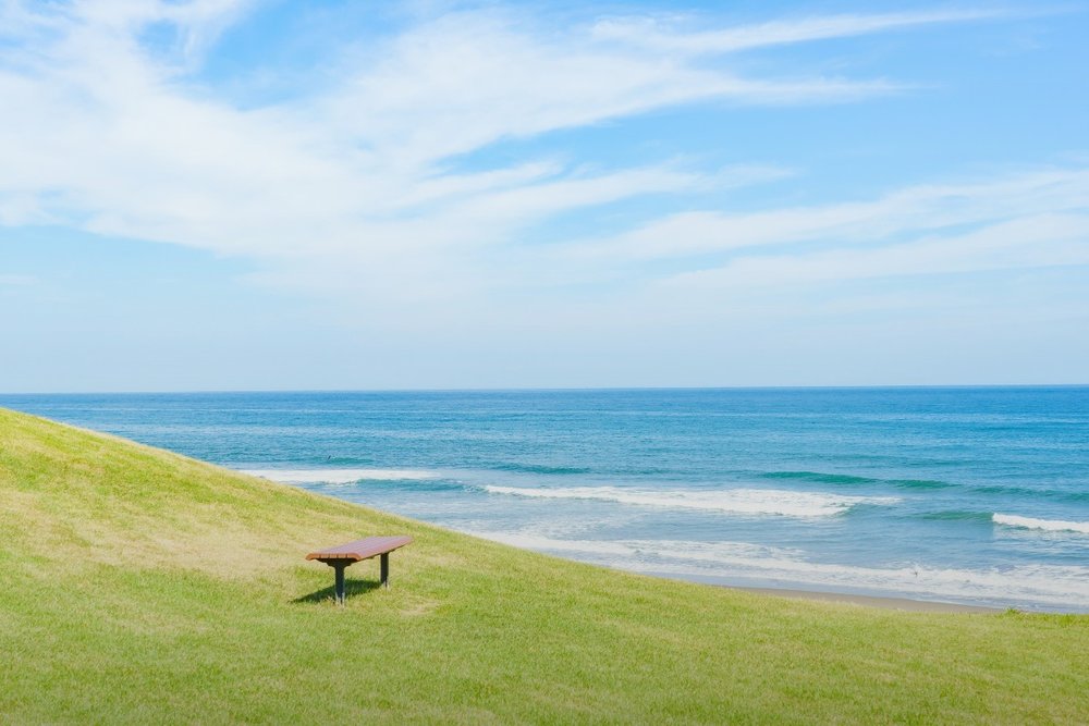 Lịch Trình Tour Trong Ngày Tham Quan Ibaraki Từ Tokyo