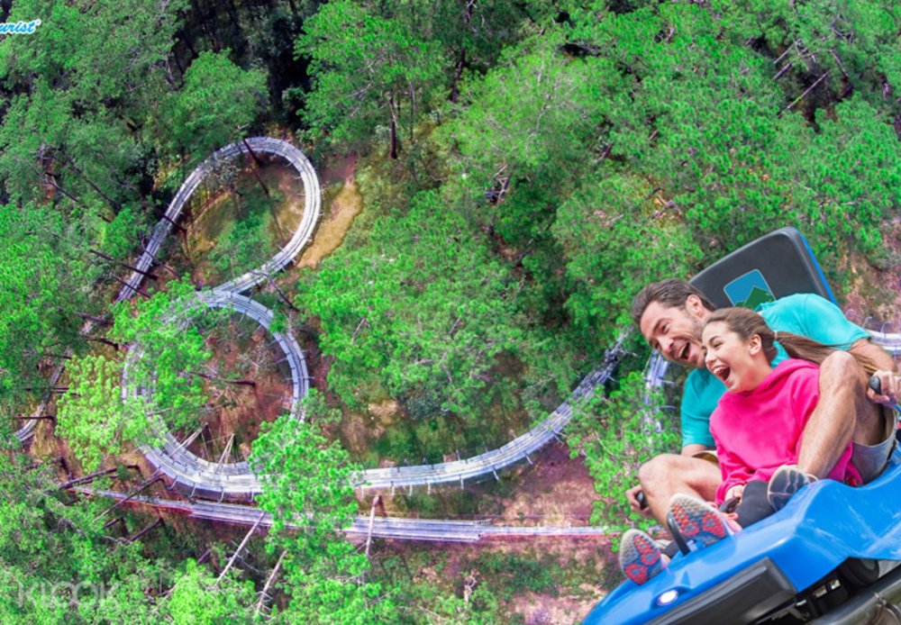  Xe Trượt Thác Datanla New Alpine Coaster Tại Đà Lạt