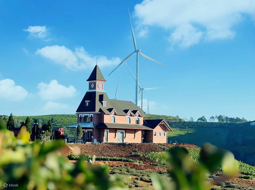 Săn Mây Và Ngắm Bình Minh Tại Cầu Đất Đà Lạt