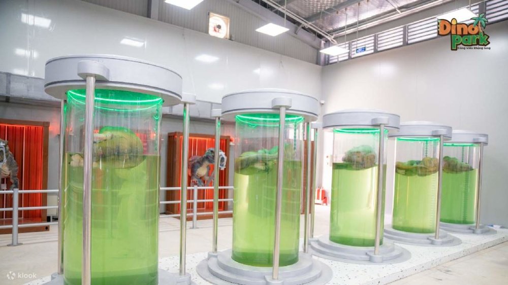 Tham Gia Chương Trình Giáo Dục Về Khủng Long