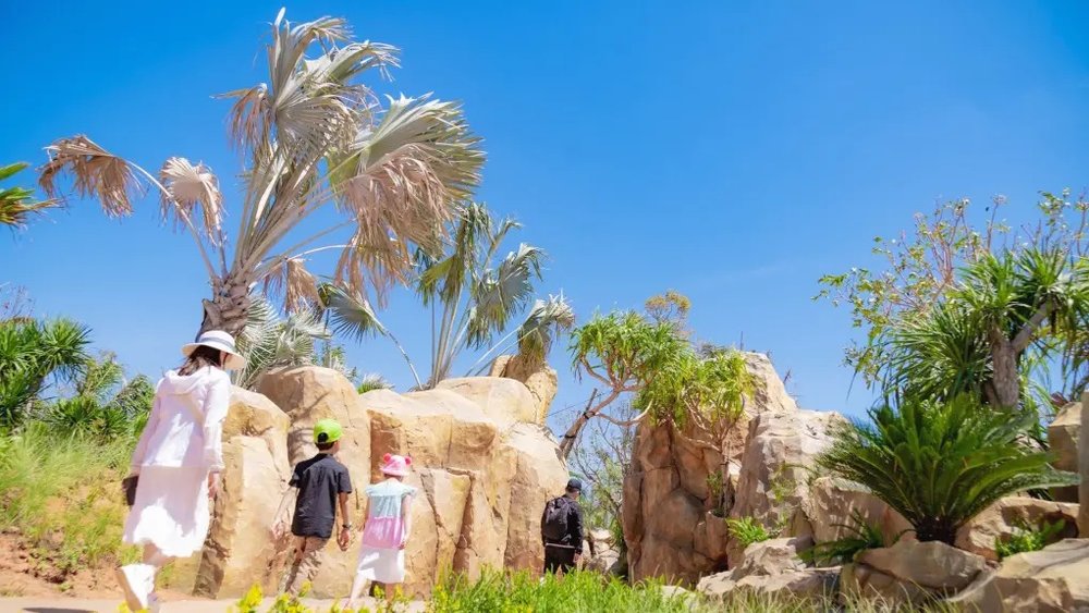 Những Lưu Ý Cần Biết Khi Tham Quan Công Viên Khủng Long Dino Park