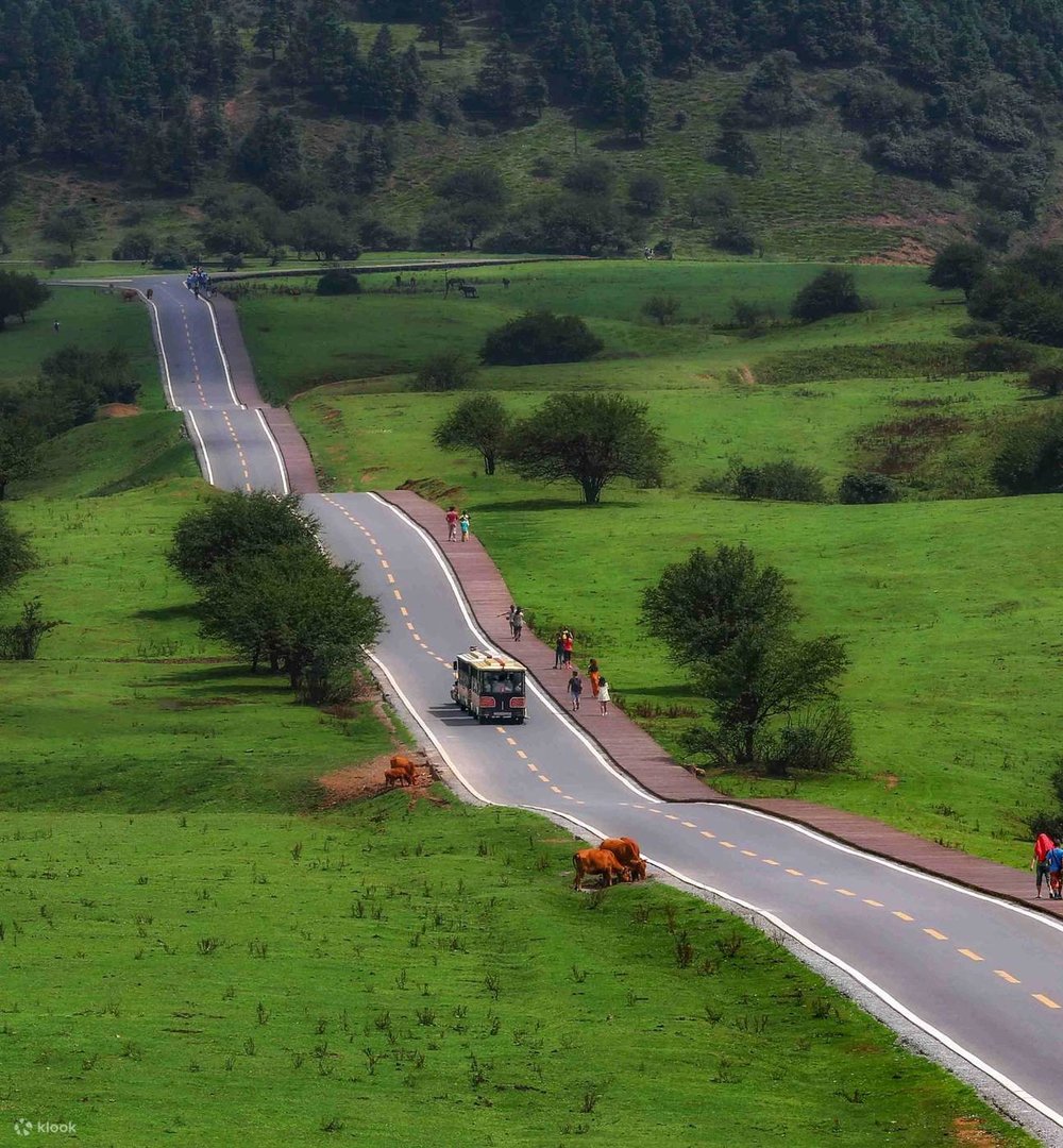 重慶 重慶景點 重慶自由行 重慶好去處 重慶交通