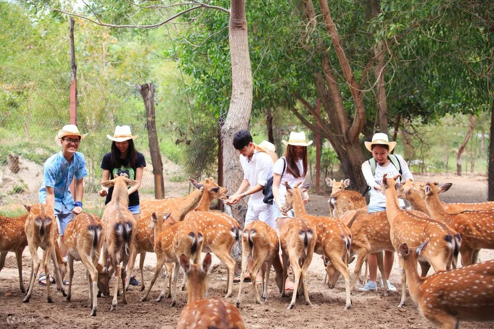 Thỏa Thích Tham Gia Các Trò Chơi Trên Biển Tại Đảo Hoa Lan