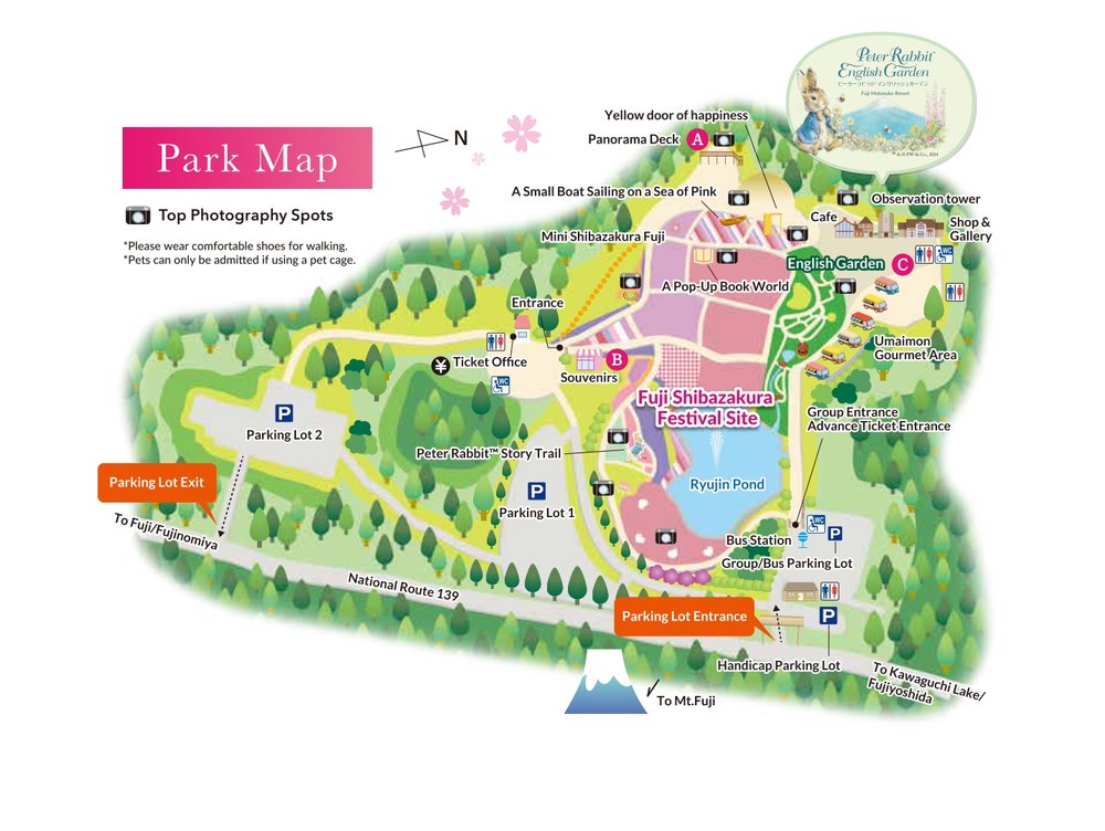 fuji shibazakura festival 2025 japan klook my