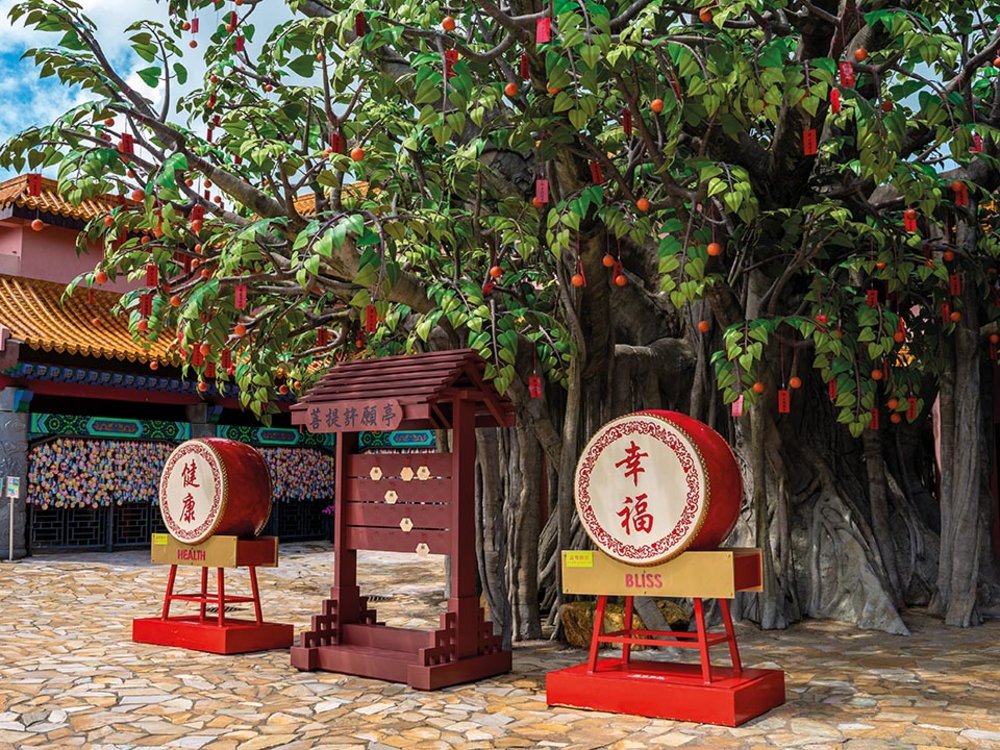 Cây Bồ Đề Ở Làng Ngong Ping