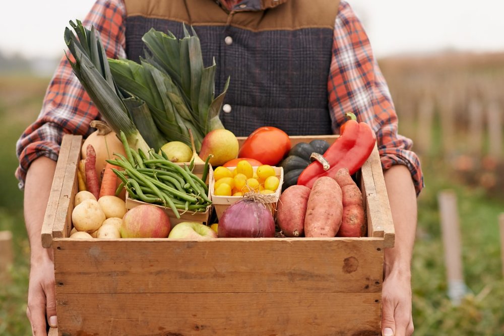 Mang Theo Cây Trồng, Hạt Giống Và Sản Phẩm Thực Vật