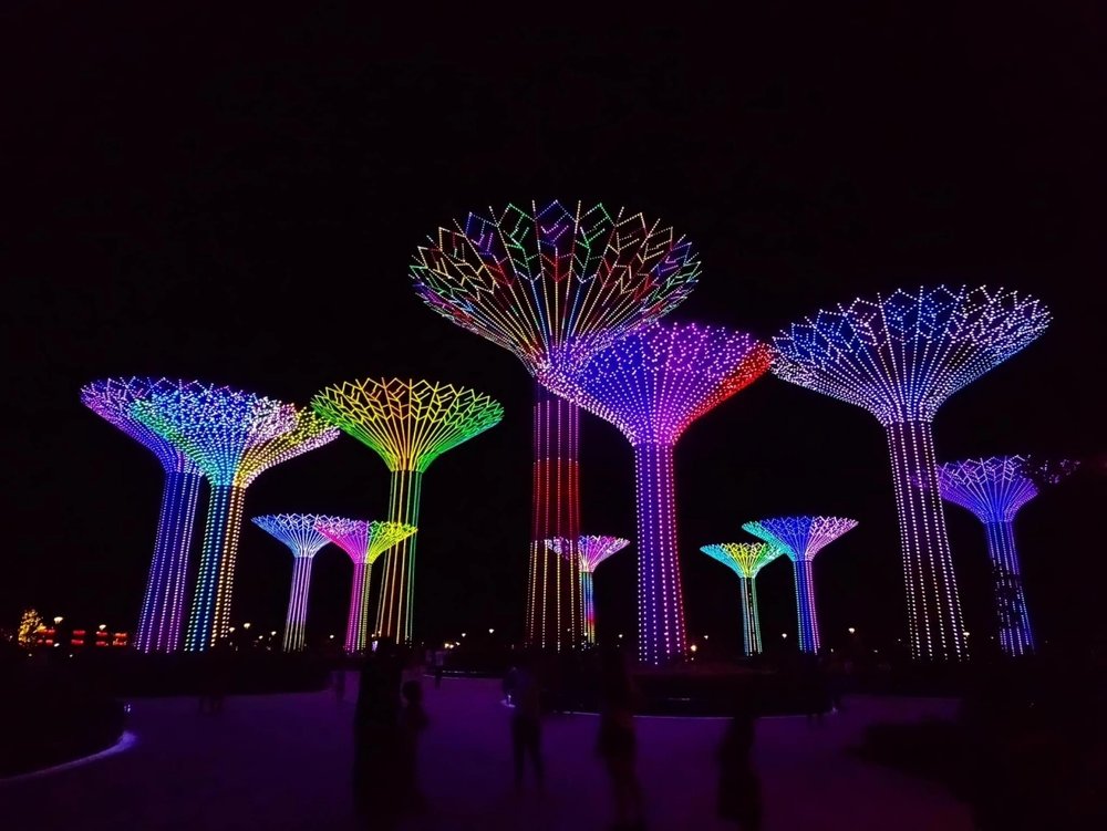 Check-In “Cháy Máy” Cùng Cây Ánh Sáng Khổng Lồ