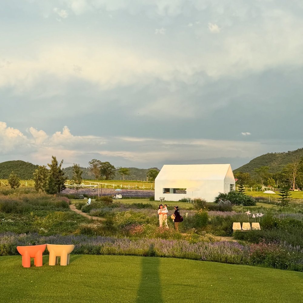 blossom bloom cafe in khao yai