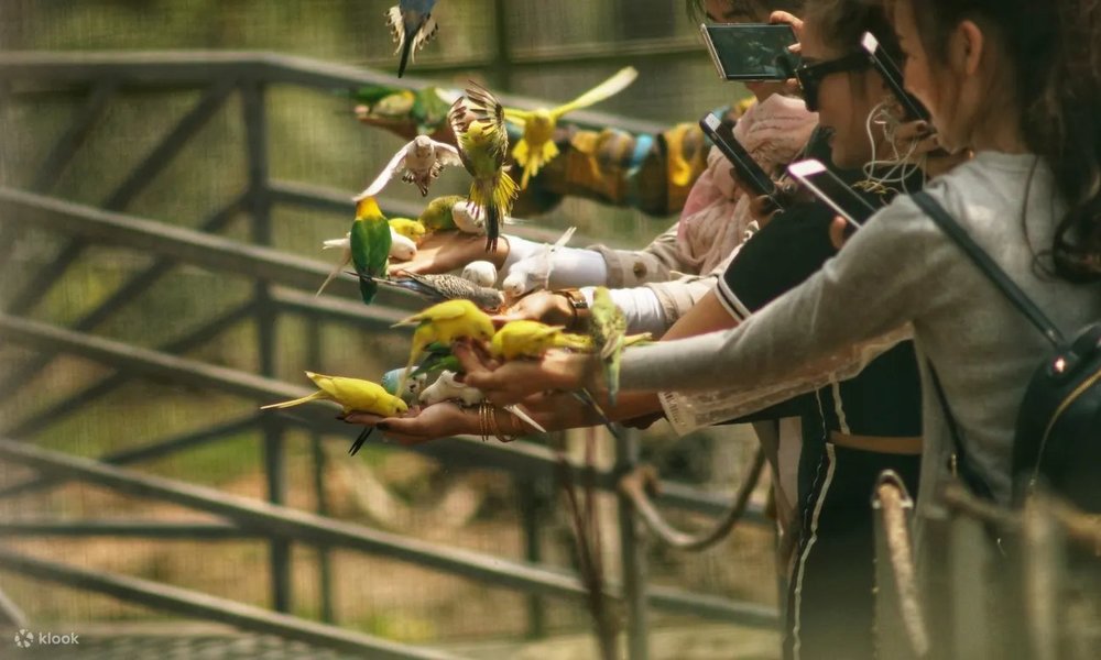 review-du-lich-da-lat-3-ngay-2-dem