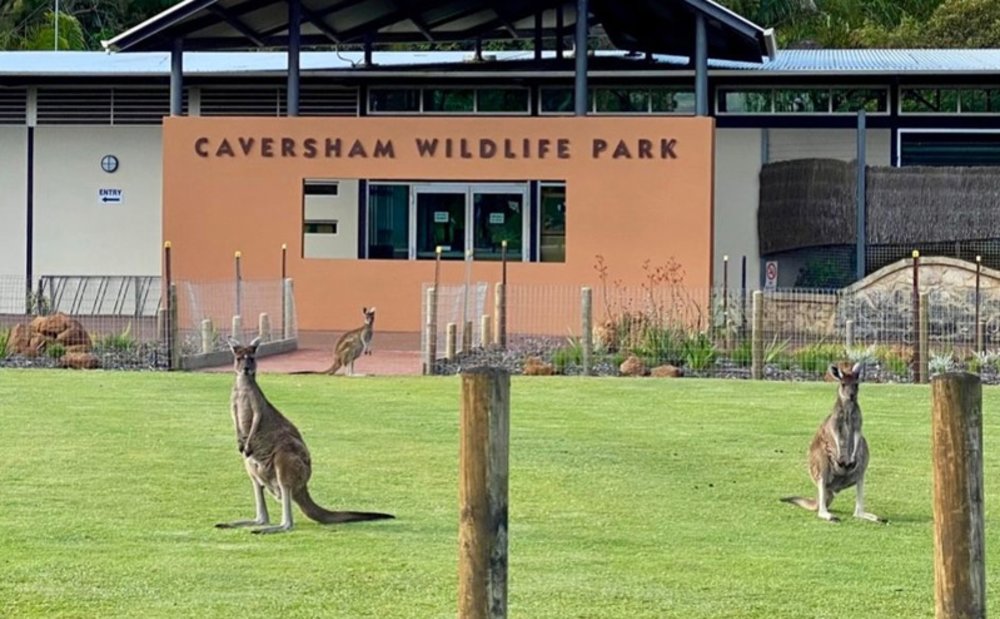 Perth kid-friendly road trip itinerary: Caversham Wildlife Park