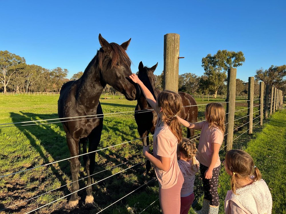 Perth kid-friendly road trip itinerary: swan valley farm stay