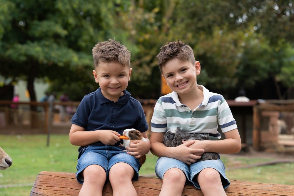 Perth kid-friendly road trip itinerary: free scavenger hunt in swan valley