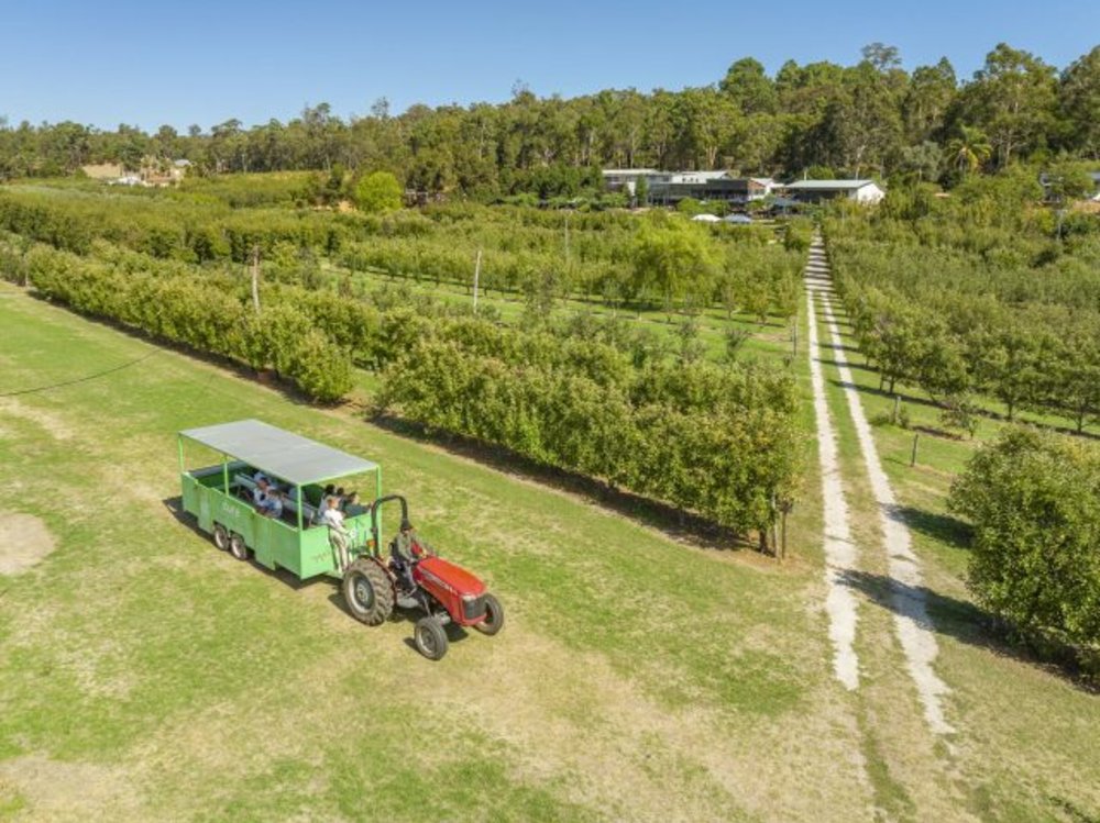 Perth kid-friendly road trip itinerary: core cider