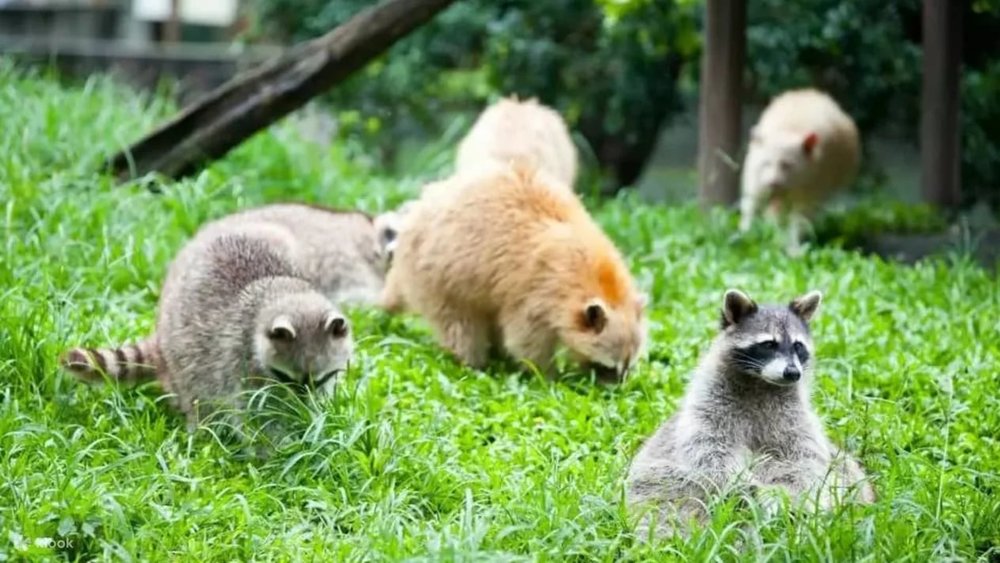 Trang Trại Farm Dream Estates