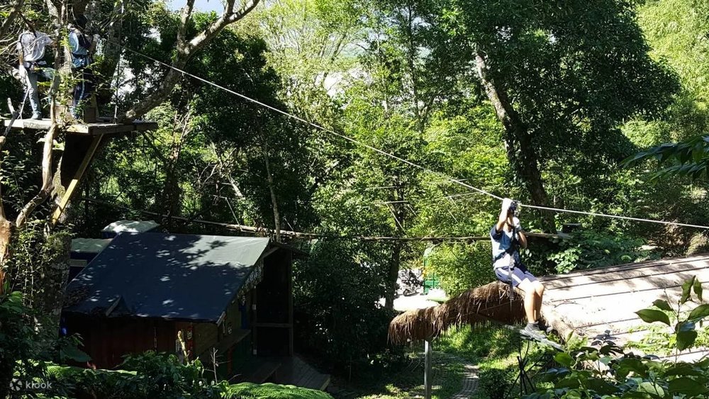 Trượt Zipline Tại Wild Monkey Adventure Jungle