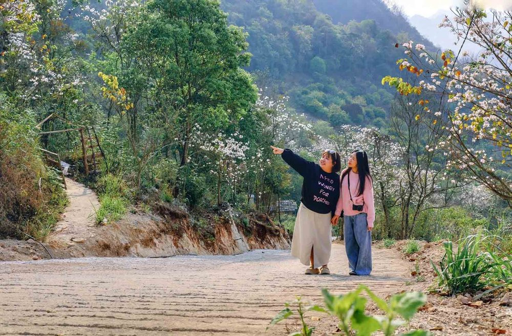 Đi tour Mộc Châu