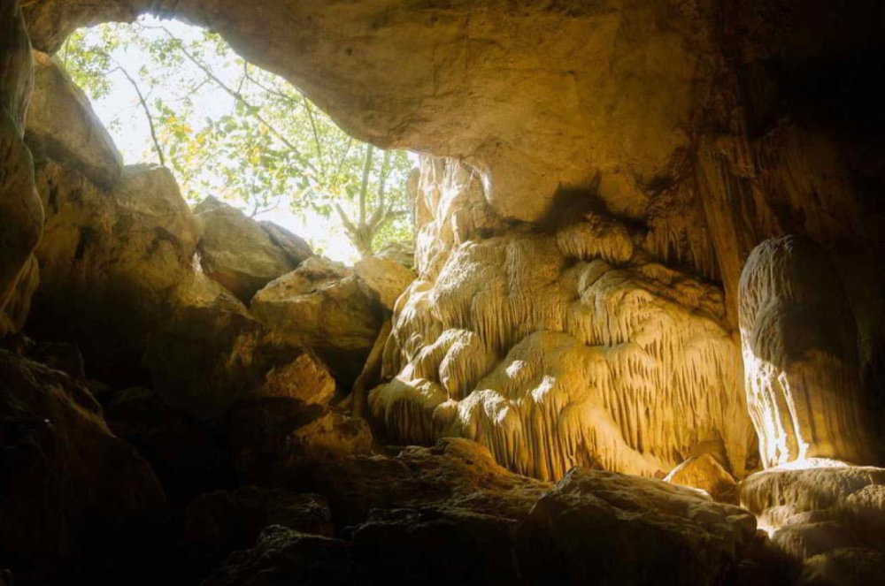 Ngũ Động Bản Ôn