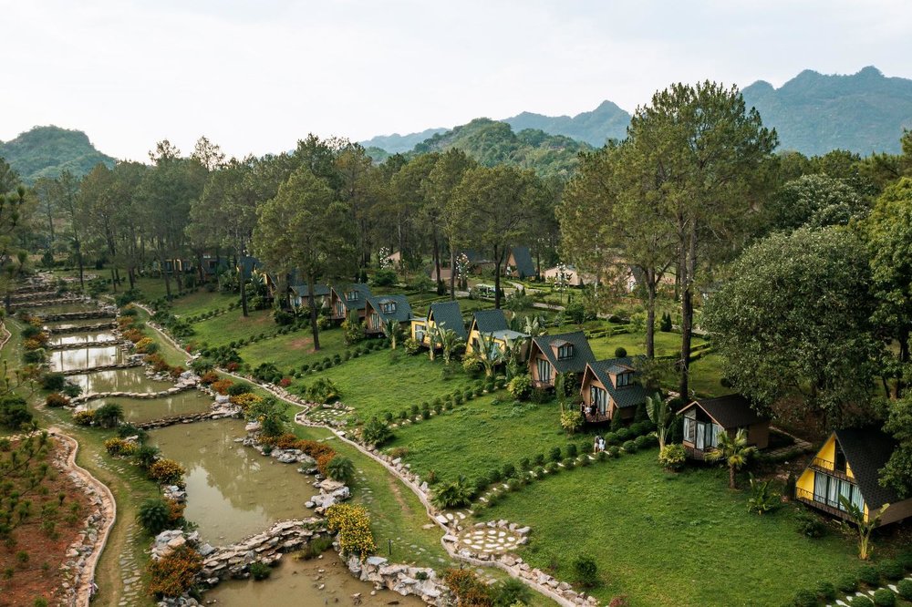 Rừng thông Bản Áng