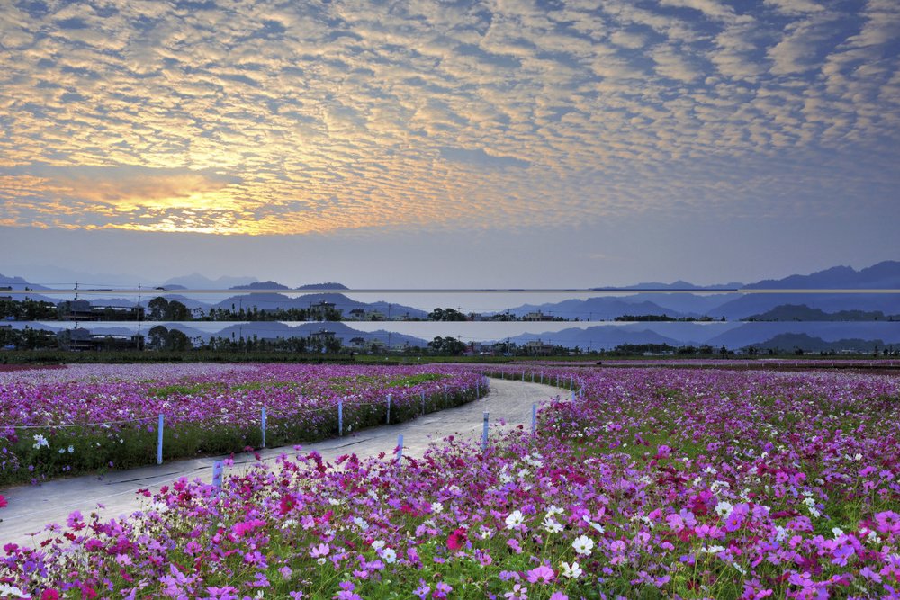 Thời Gian Xử Lý Hồ Sơ (Visa Dán)