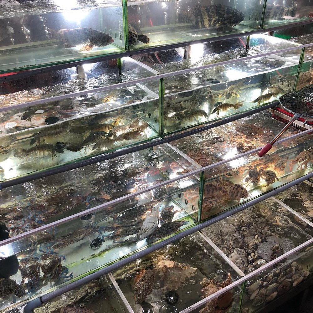 富國島夜市, 富國夜市美食, 楊東夜市美食, 楊東夜市海鮮