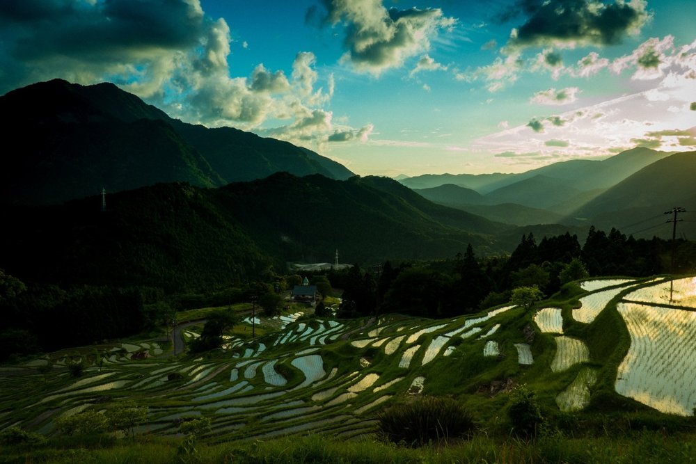  Ruộng Bậc Thang Oyama – Cảnh Quan Nông Nghiệp Truyền Thống
