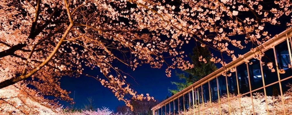 Công Viên Hoa "HANA·BIYORI"