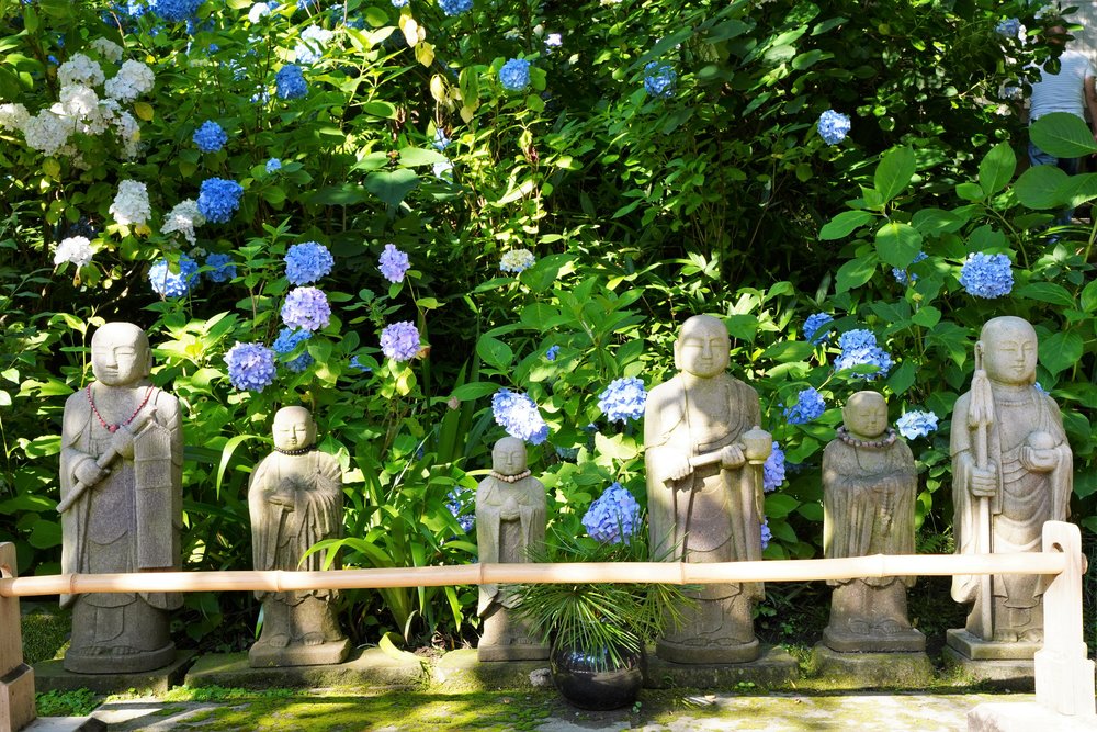 วัดเมอิกิ (Meigetsu-in), คามาคุระ