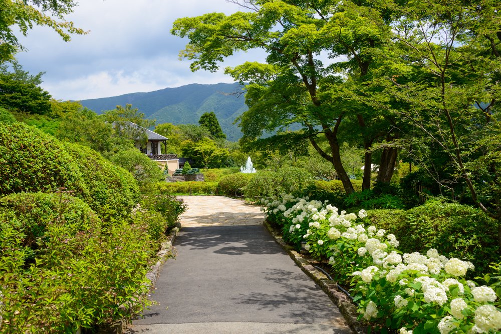 สวนฮาโกเนะ-เกียวเอ็น (Hakone Gora Park), ฮาโกเนะ