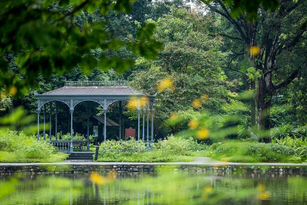 Hồ Thiên Nga (Swan Lake)