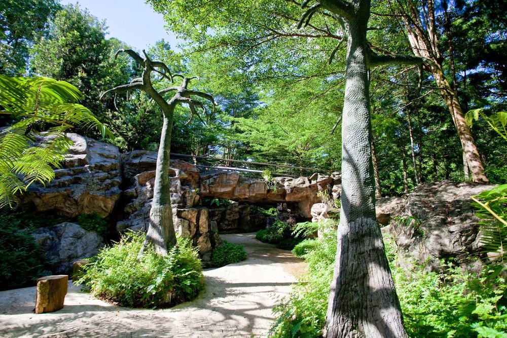 Vườn Tiến Hóa (Evolution Garden)