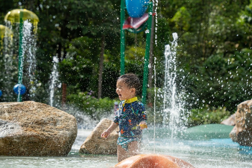  Vườn Trẻ em Jacob Ballas (Jacob Ballas Children's Garden)