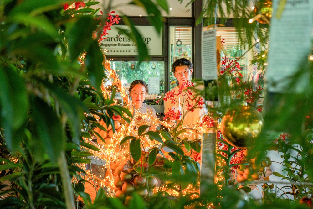 Học hỏi tại các trung tâm giáo dục