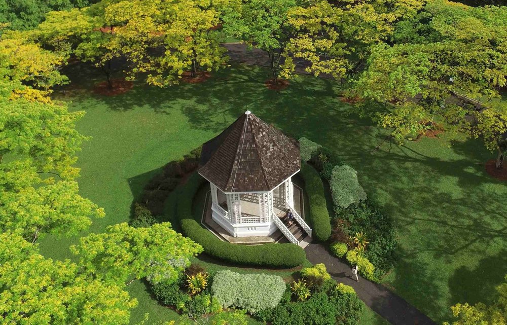 Một Số Lưu Ý Quan Trọng Khi Tham Quan Vườn Bách Thảo Singapore