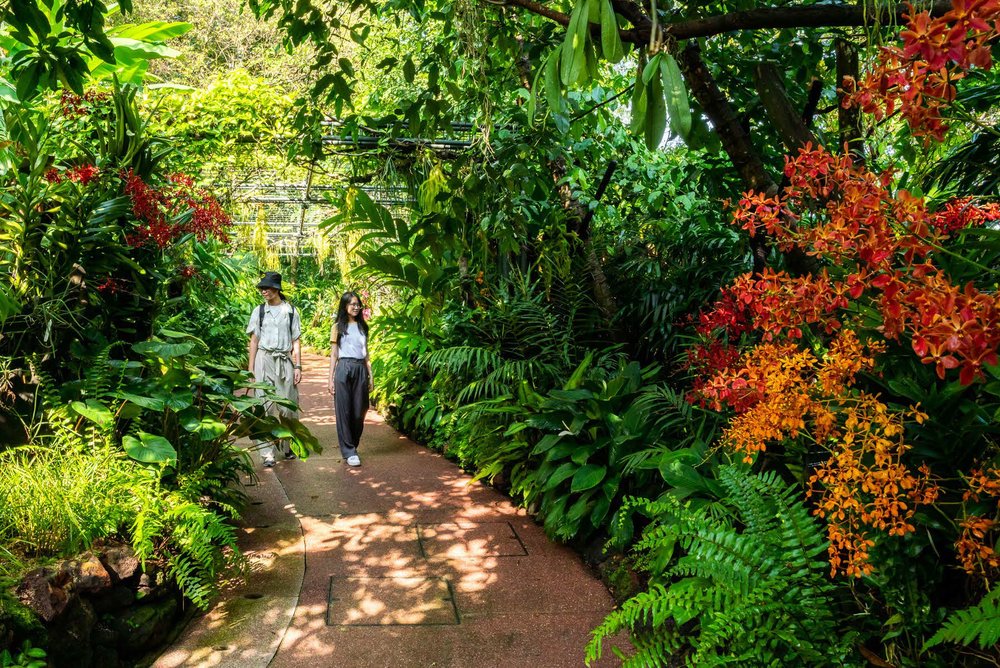 Vườn Lan Quốc gia (National Orchid Garden)