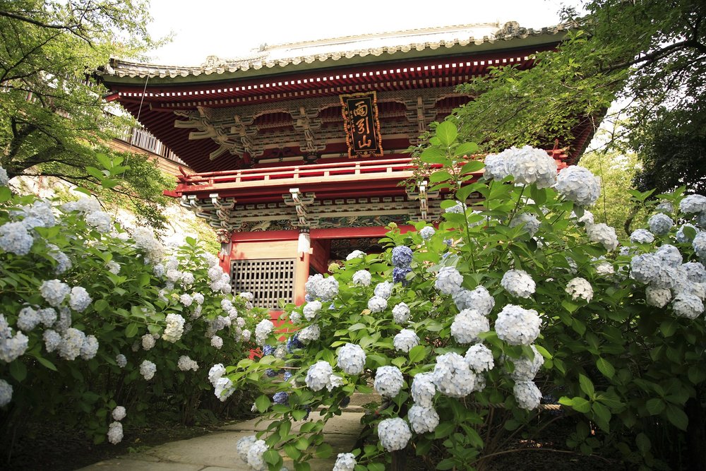 วัดอามาบิกิ คันนง (Amabiki Kannon), อิบารากิ